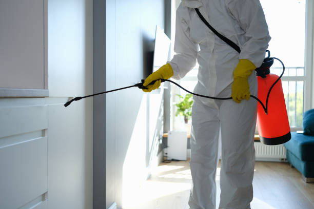 Asbestos and Lead Testing During Mold Inspection in Farmington, UT